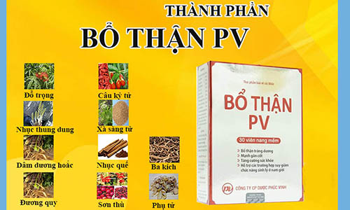 Bổ thận tráng dương PV